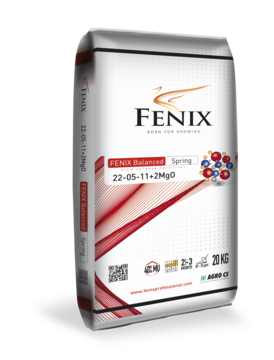 FENIX Balanced Spring 22-05-11+2MgO 20 kg