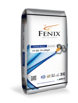 FENIX Basic Summer 19-00-19+2MgO 20 kg