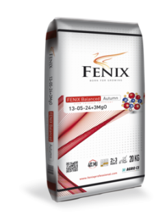 FENIX Balanced Autumn 13-05-24+3MgO 20 kg