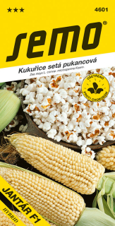 Kukuřice setá pukancová Jantár F1