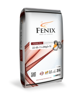 FENIX Pro Spring & Summer 22-05-11+3MgO+TE