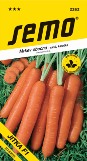 Mrkev obecná Jitka F1